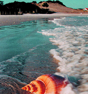 Concha na Praia
